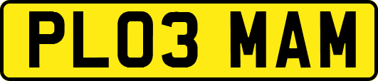PL03MAM