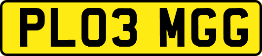 PL03MGG