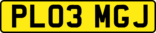 PL03MGJ