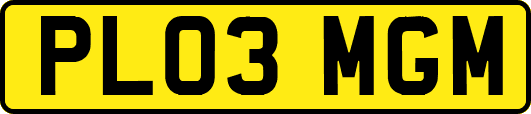 PL03MGM