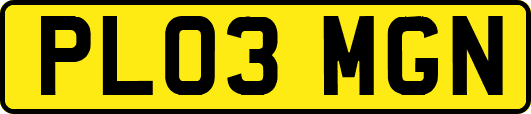 PL03MGN