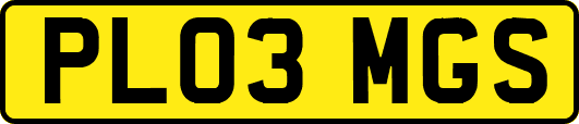 PL03MGS