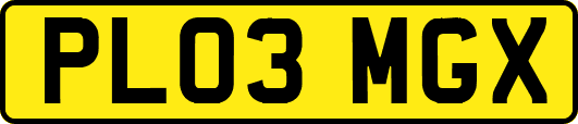 PL03MGX