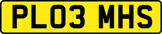 PL03MHS