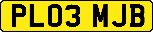 PL03MJB