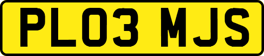 PL03MJS
