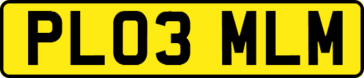 PL03MLM