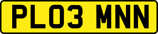 PL03MNN