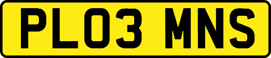 PL03MNS