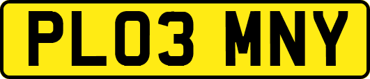 PL03MNY