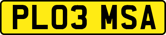 PL03MSA