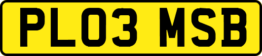 PL03MSB