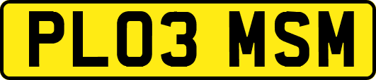 PL03MSM