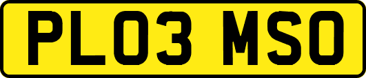 PL03MSO