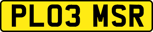PL03MSR