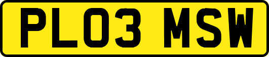 PL03MSW