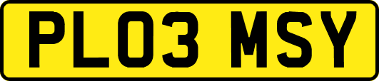 PL03MSY
