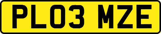 PL03MZE