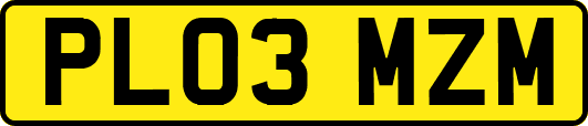 PL03MZM