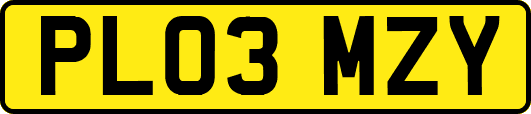 PL03MZY