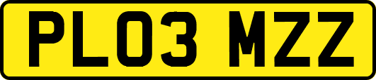 PL03MZZ