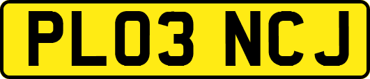 PL03NCJ