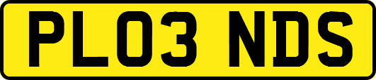 PL03NDS