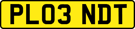 PL03NDT