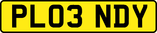 PL03NDY
