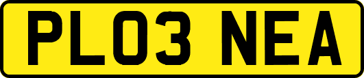 PL03NEA