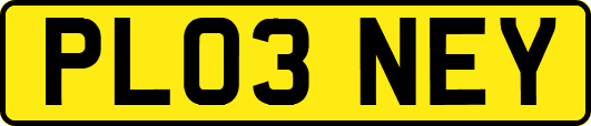 PL03NEY