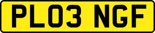 PL03NGF