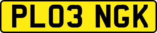 PL03NGK