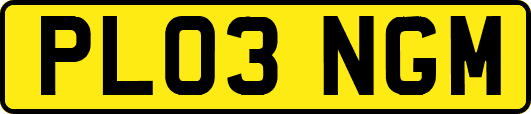 PL03NGM