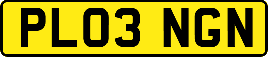 PL03NGN