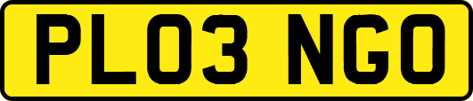 PL03NGO