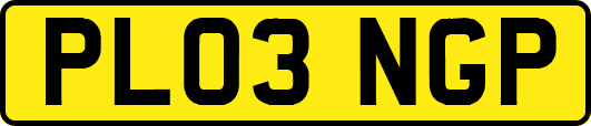 PL03NGP