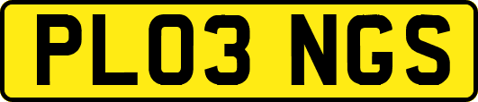 PL03NGS