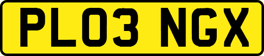 PL03NGX