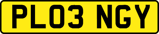 PL03NGY