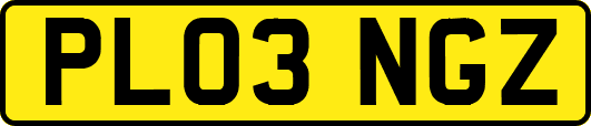 PL03NGZ