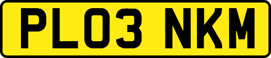 PL03NKM