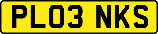 PL03NKS