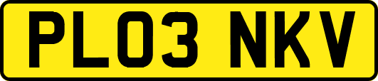PL03NKV