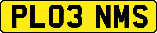 PL03NMS
