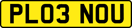 PL03NOU