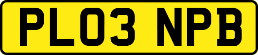PL03NPB
