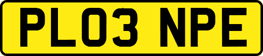 PL03NPE