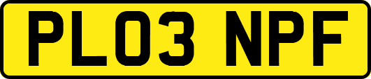 PL03NPF
