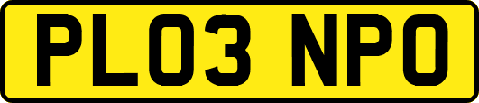 PL03NPO